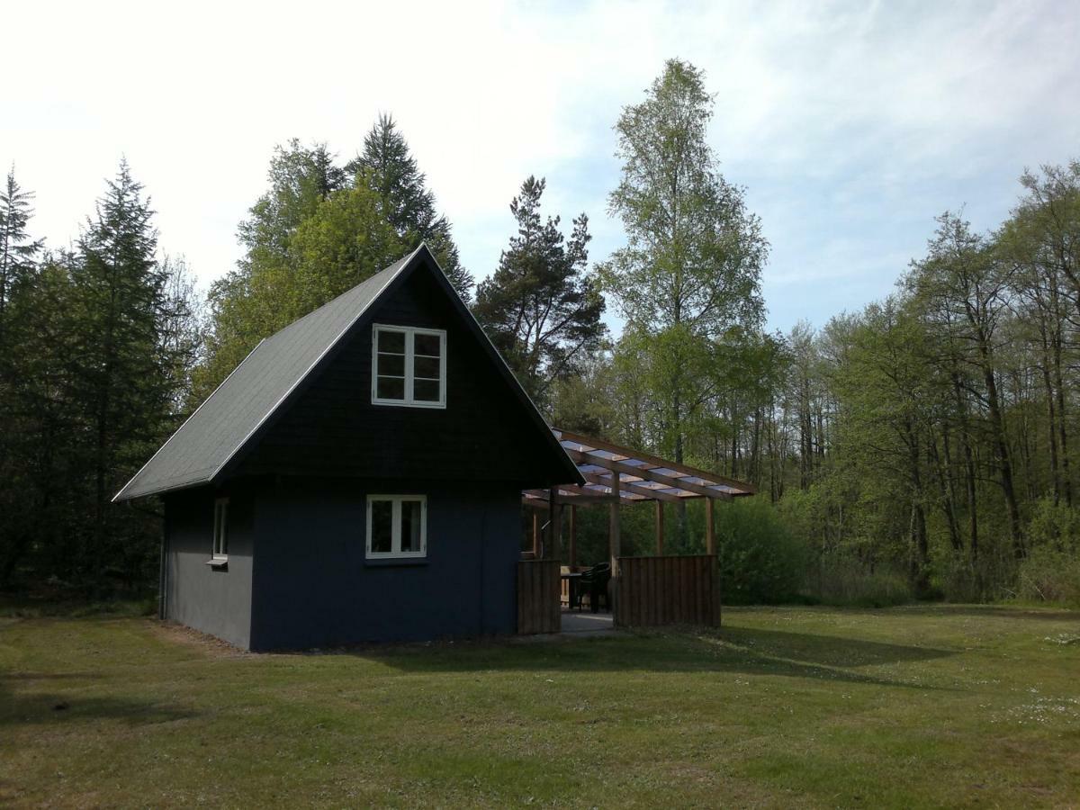Nix At Gammel Rye Villa Ry Exteriör bild